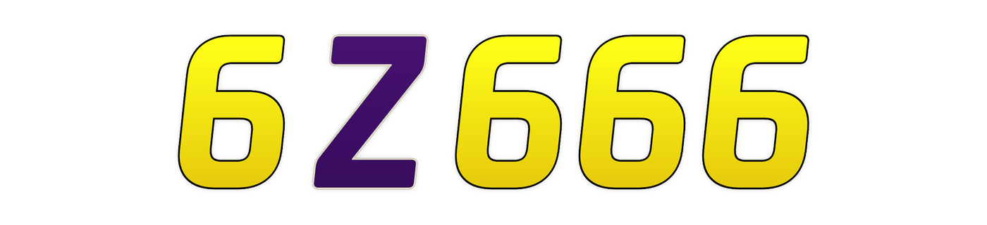 6z666
